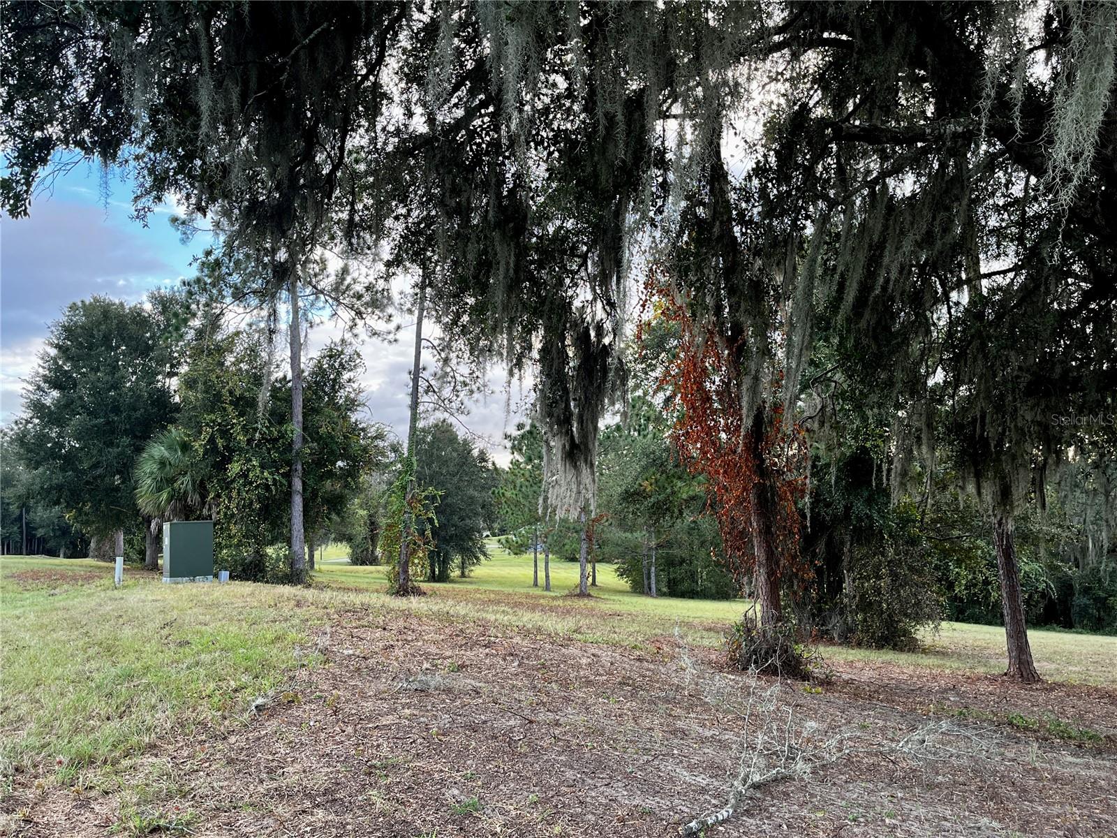 41513 SADDLE RIDGE LN, WEIRSDALE, FL, 32195