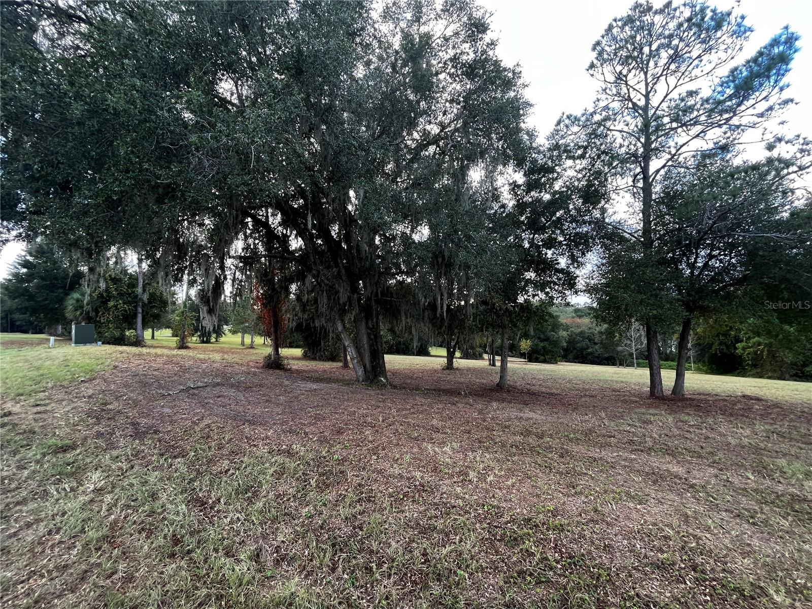 41513 SADDLE RIDGE LN, WEIRSDALE, FL, 32195