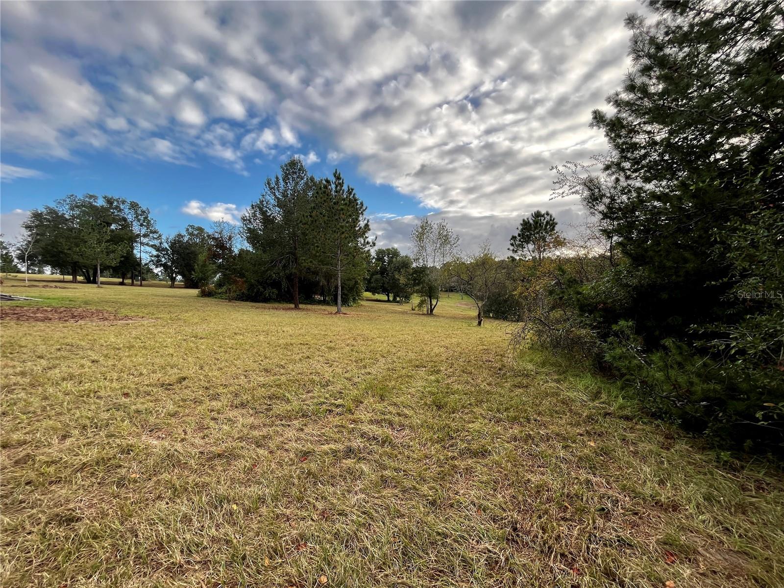 41513 SADDLE RIDGE LN, WEIRSDALE, FL, 32195