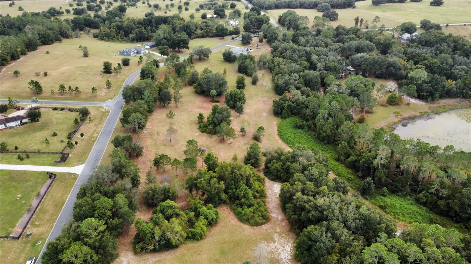 41513 SADDLE RIDGE LN, WEIRSDALE, FL, 32195