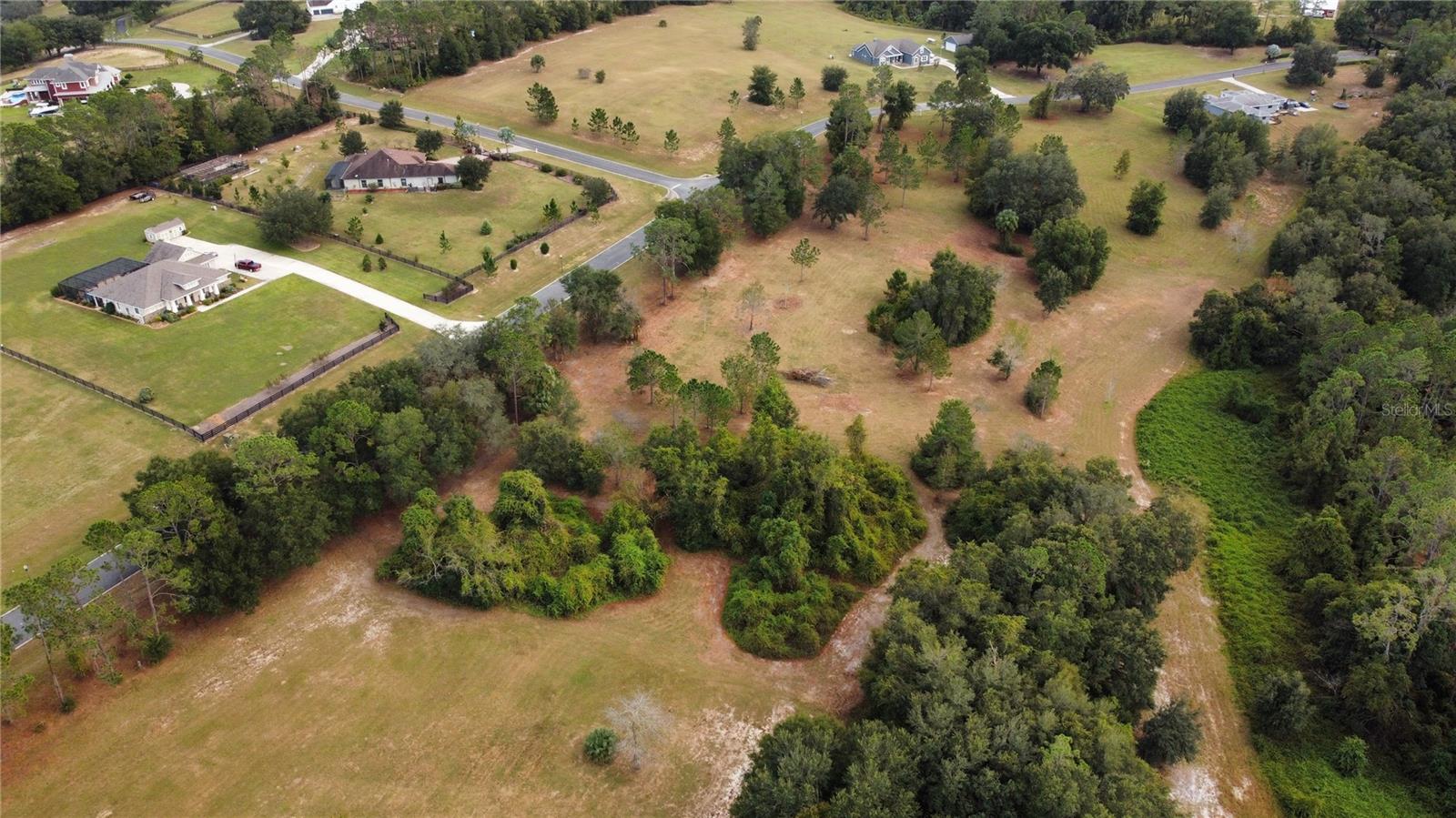 41513 SADDLE RIDGE LN, WEIRSDALE, FL, 32195