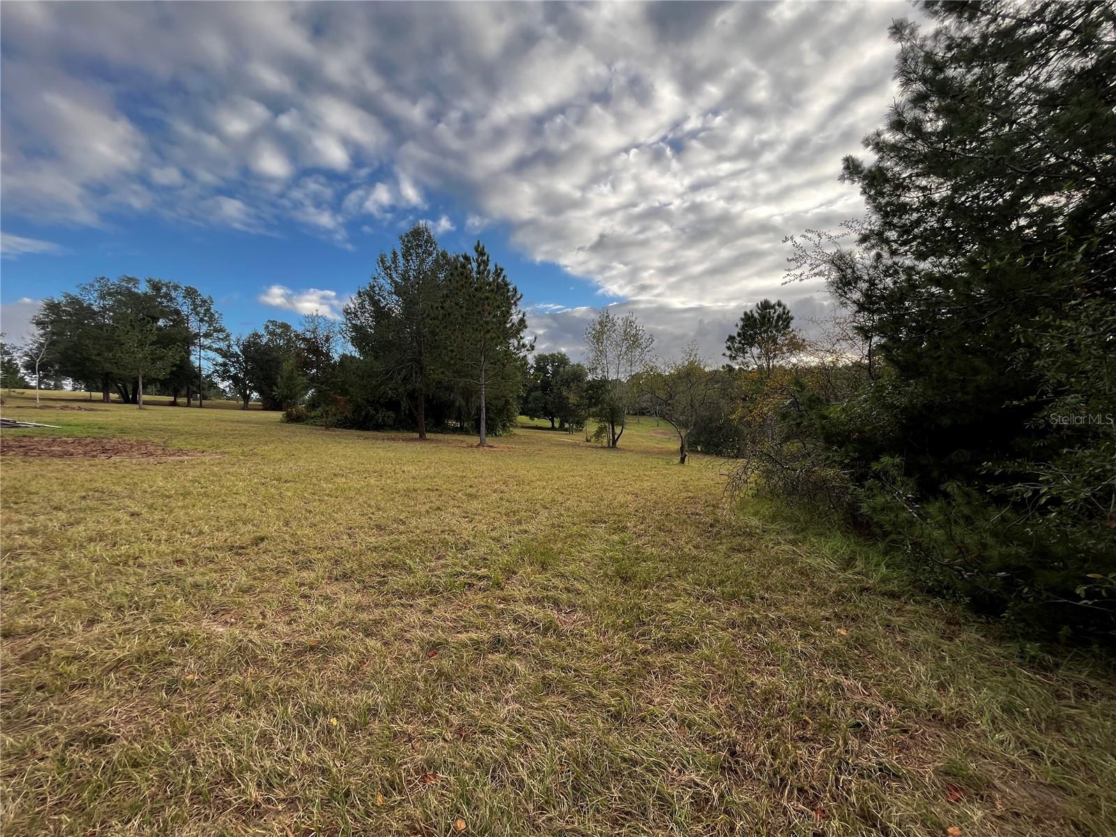 41513 SADDLE RIDGE LN, WEIRSDALE, FL, 32195