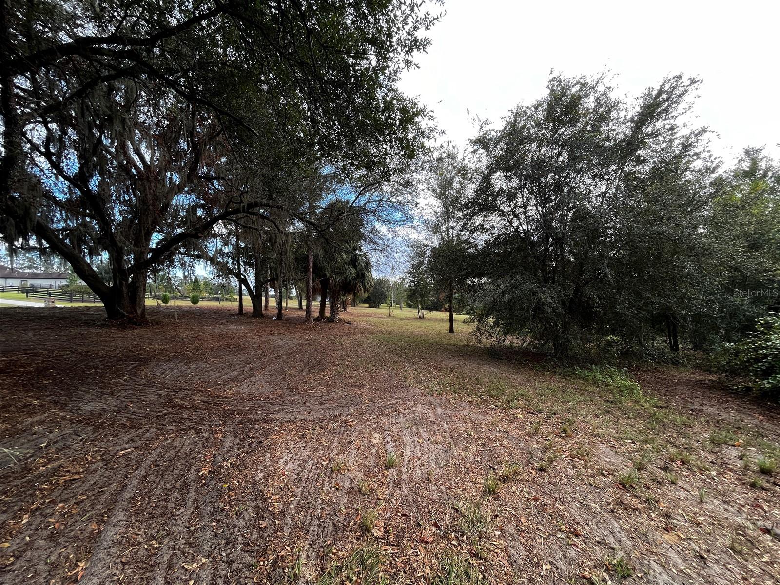 41513 SADDLE RIDGE LN, WEIRSDALE, FL, 32195
