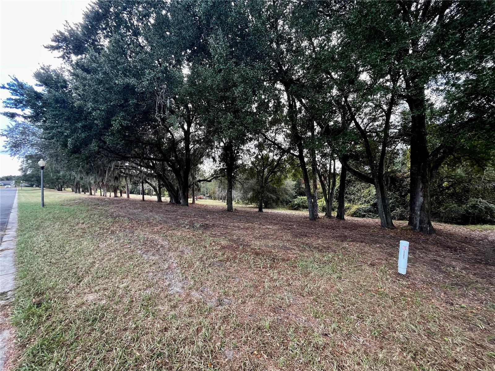 41513 SADDLE RIDGE LN, WEIRSDALE, FL, 32195