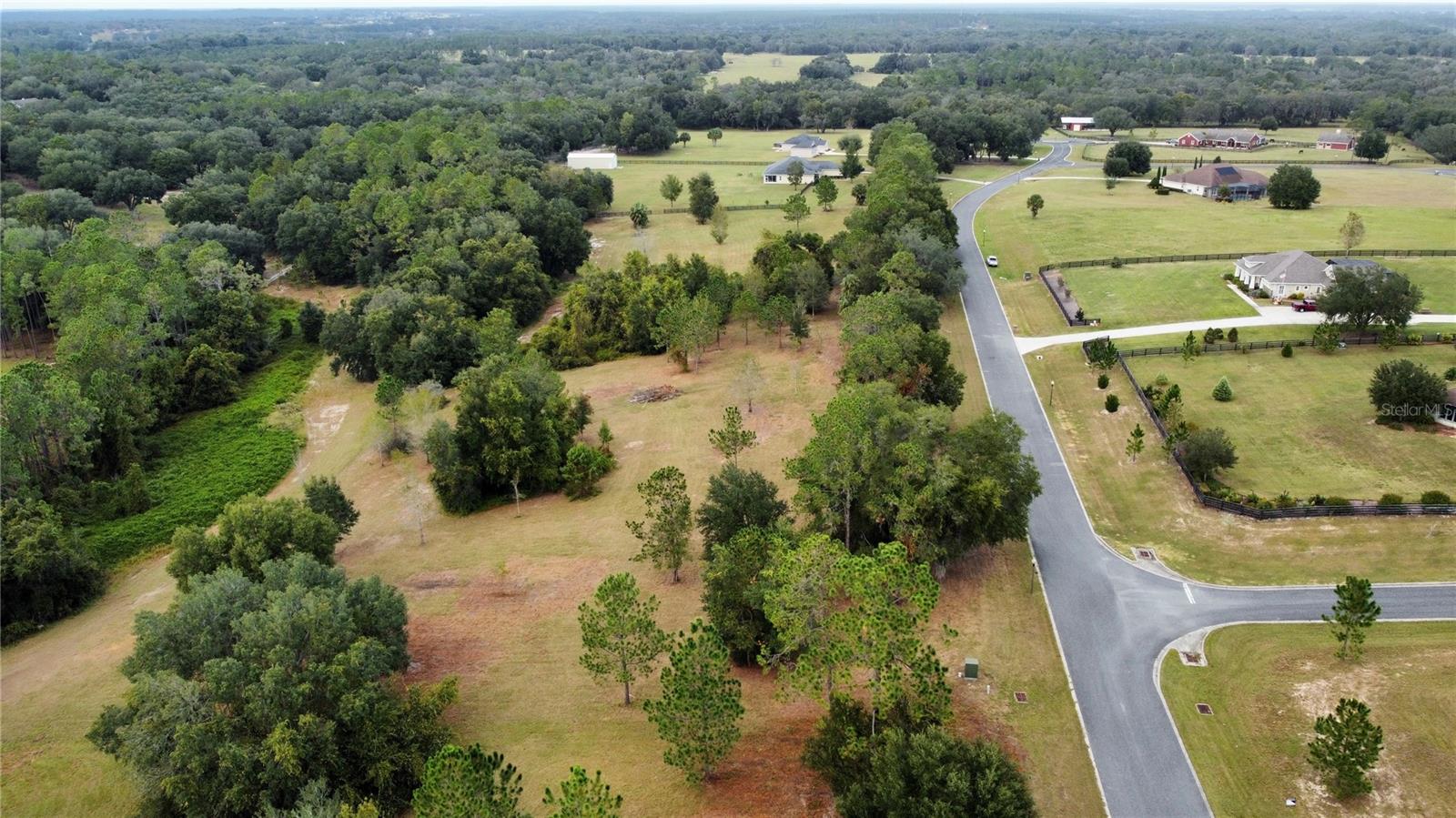 41513 SADDLE RIDGE LN, WEIRSDALE, FL, 32195