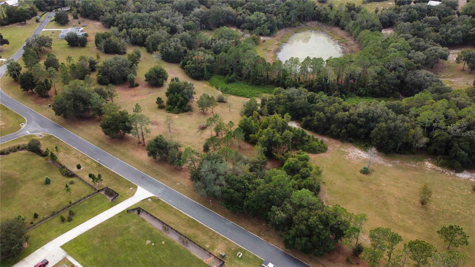 41513 SADDLE RIDGE LN, WEIRSDALE, FL, 32195