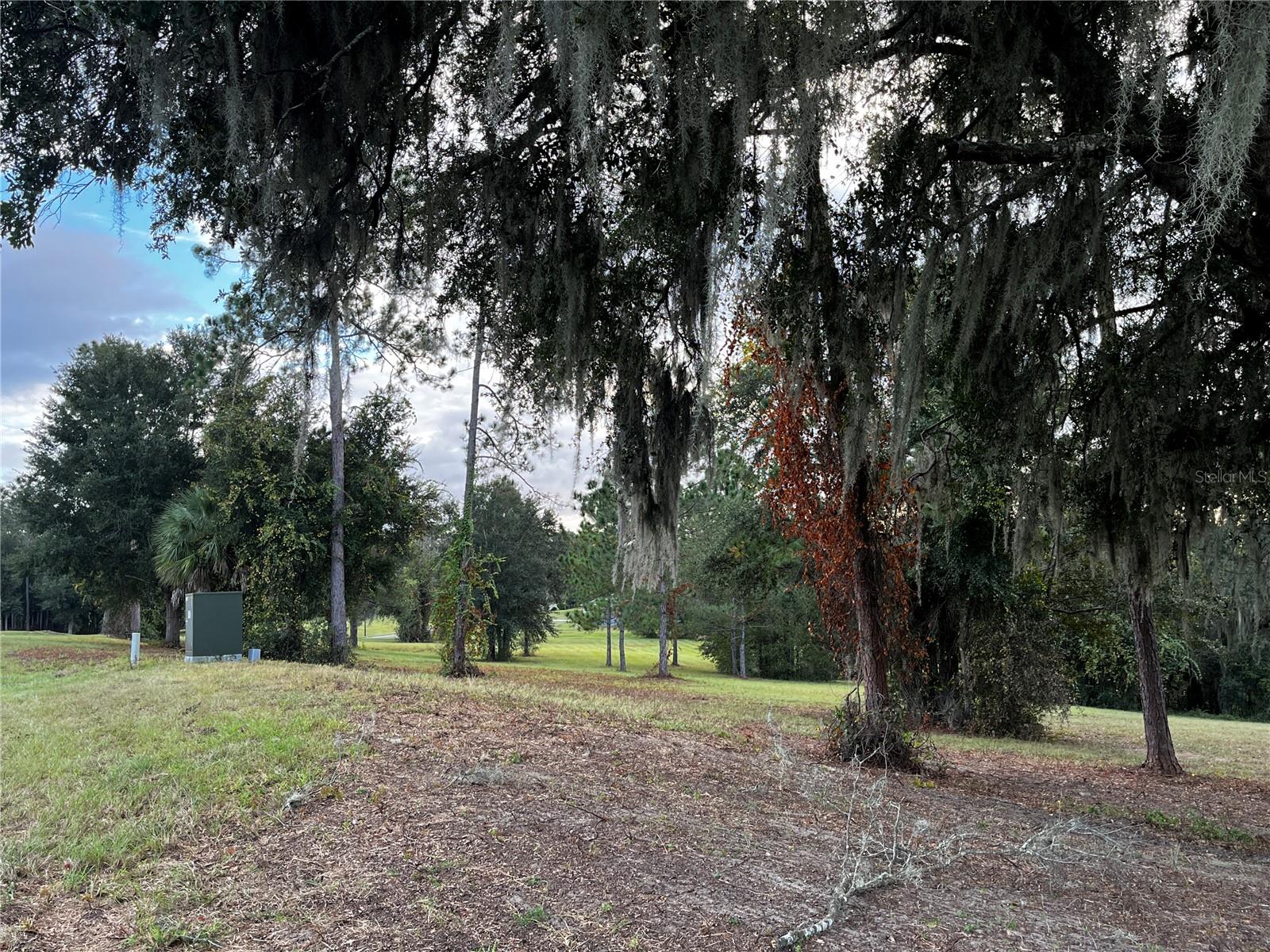 41513 SADDLE RIDGE LN, WEIRSDALE, FL, 32195