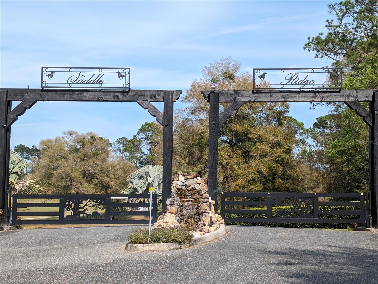 41513 SADDLE RIDGE LN, WEIRSDALE, FL, 32195