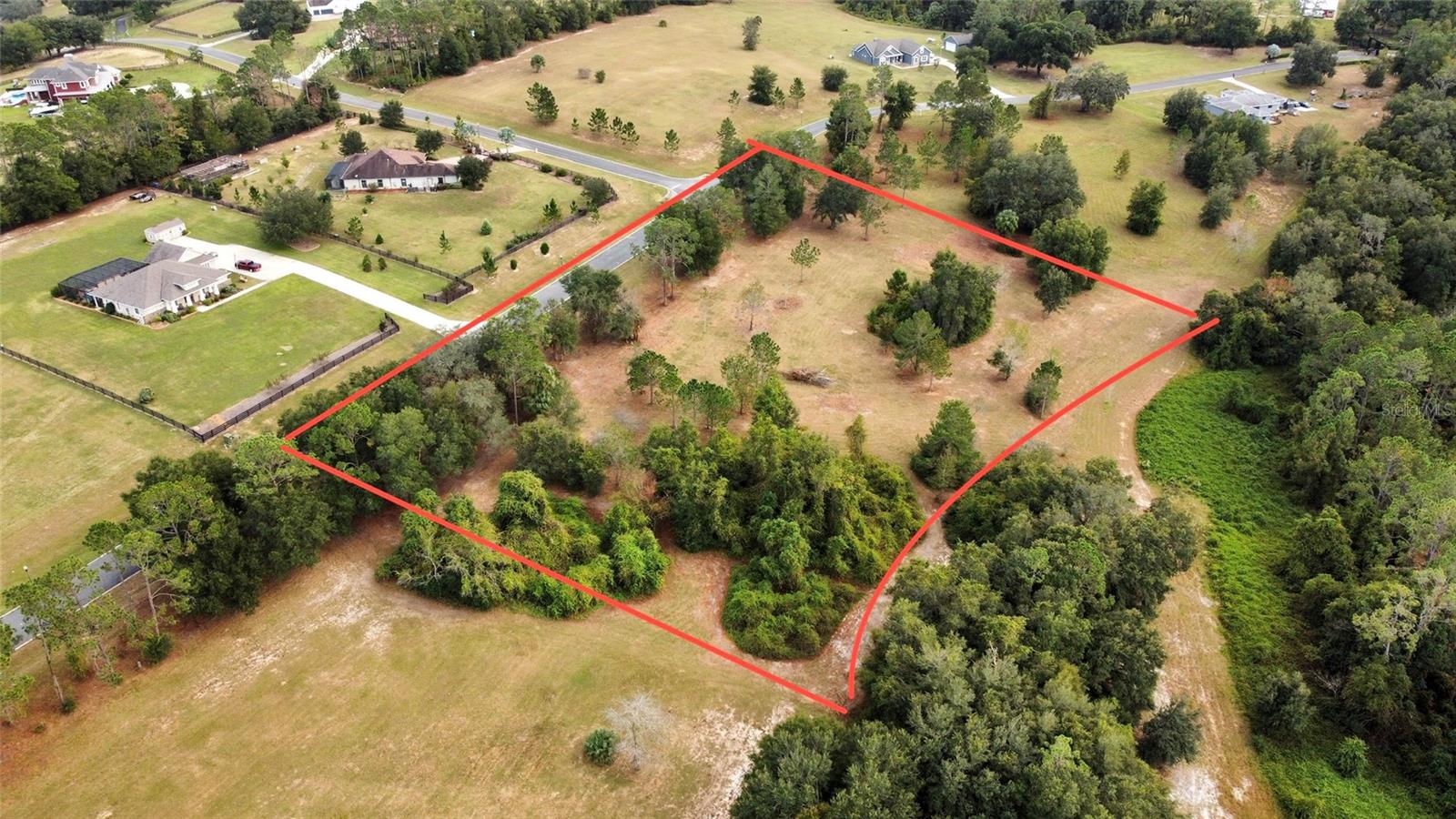 41513 SADDLE RIDGE LN, WEIRSDALE, FL, 32195