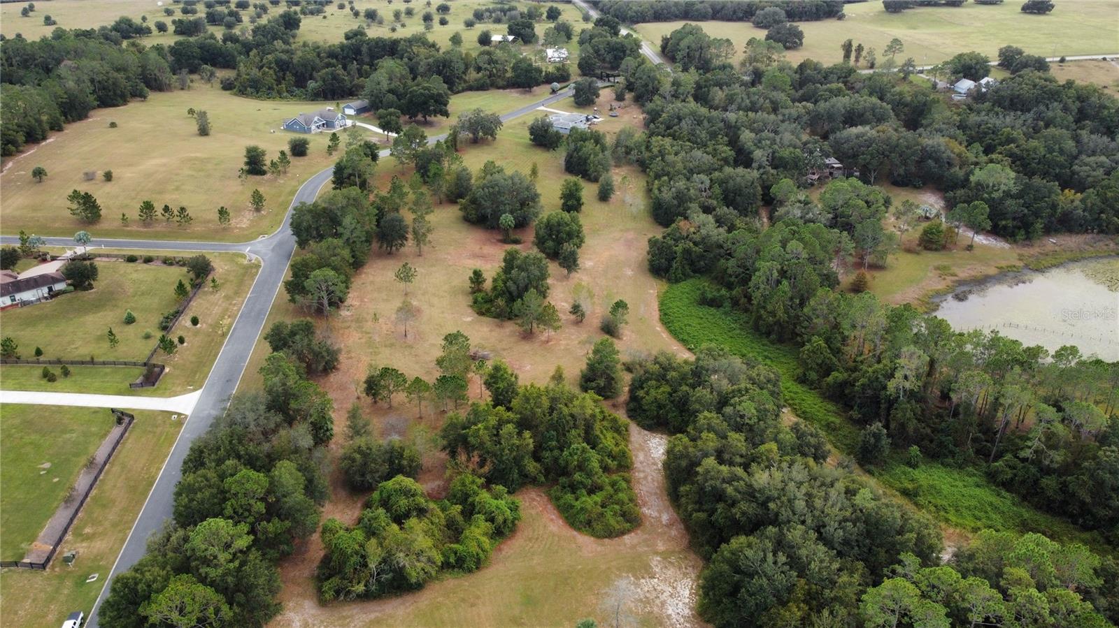 41513 SADDLE RIDGE LN, WEIRSDALE, FL, 32195