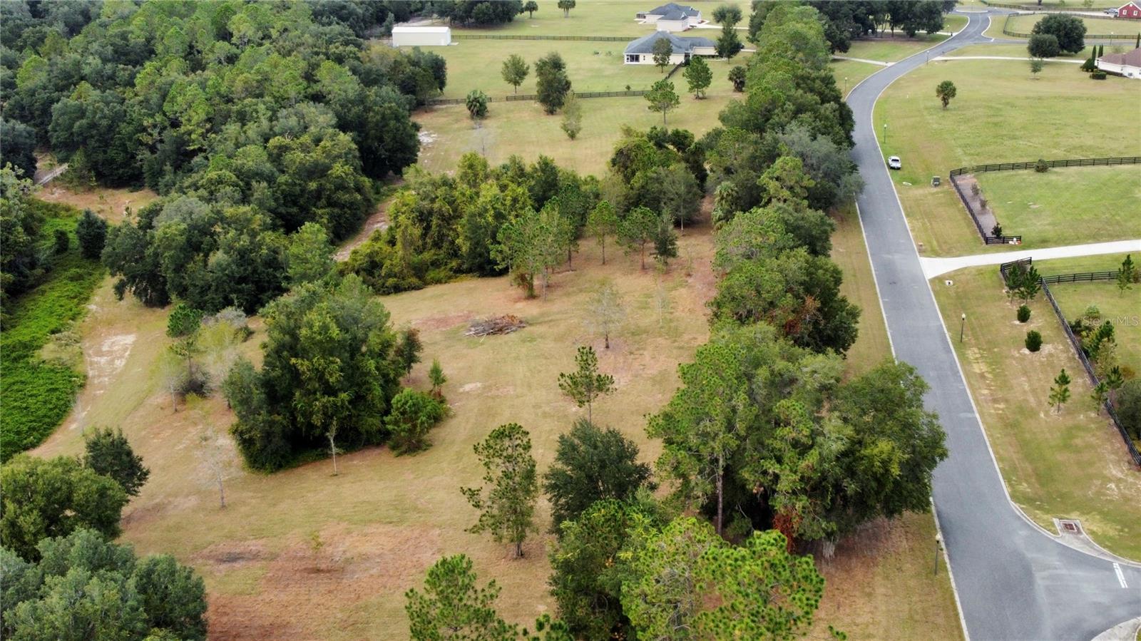 41513 SADDLE RIDGE LN, WEIRSDALE, FL, 32195