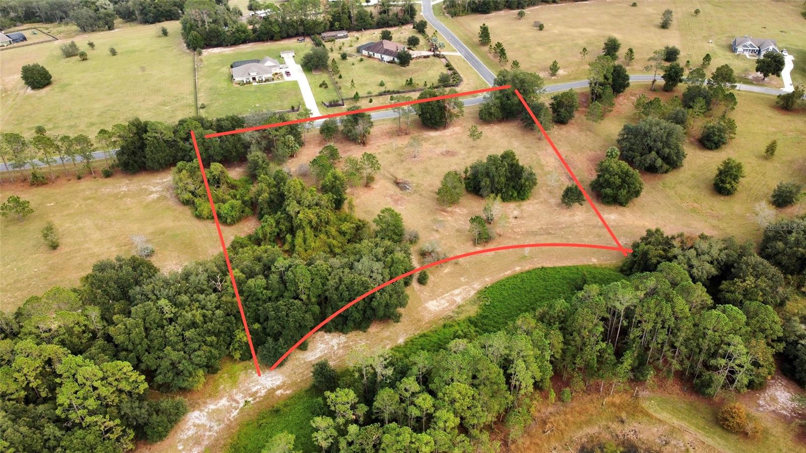 41513 SADDLE RIDGE LN, WEIRSDALE, FL, 32195
