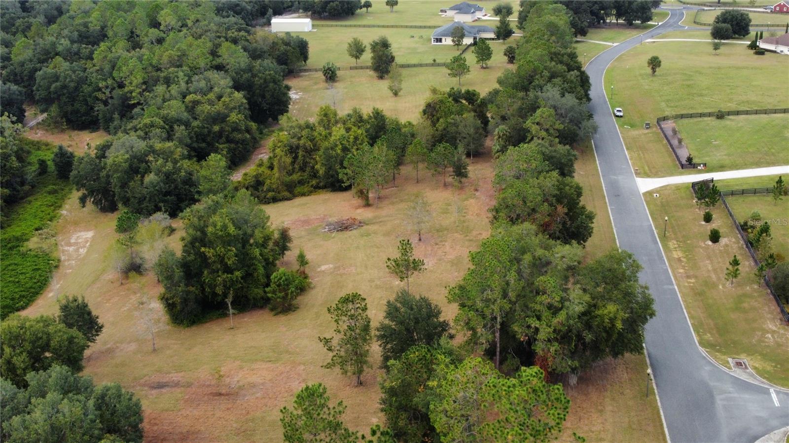 41513 SADDLE RIDGE LN, WEIRSDALE, FL, 32195