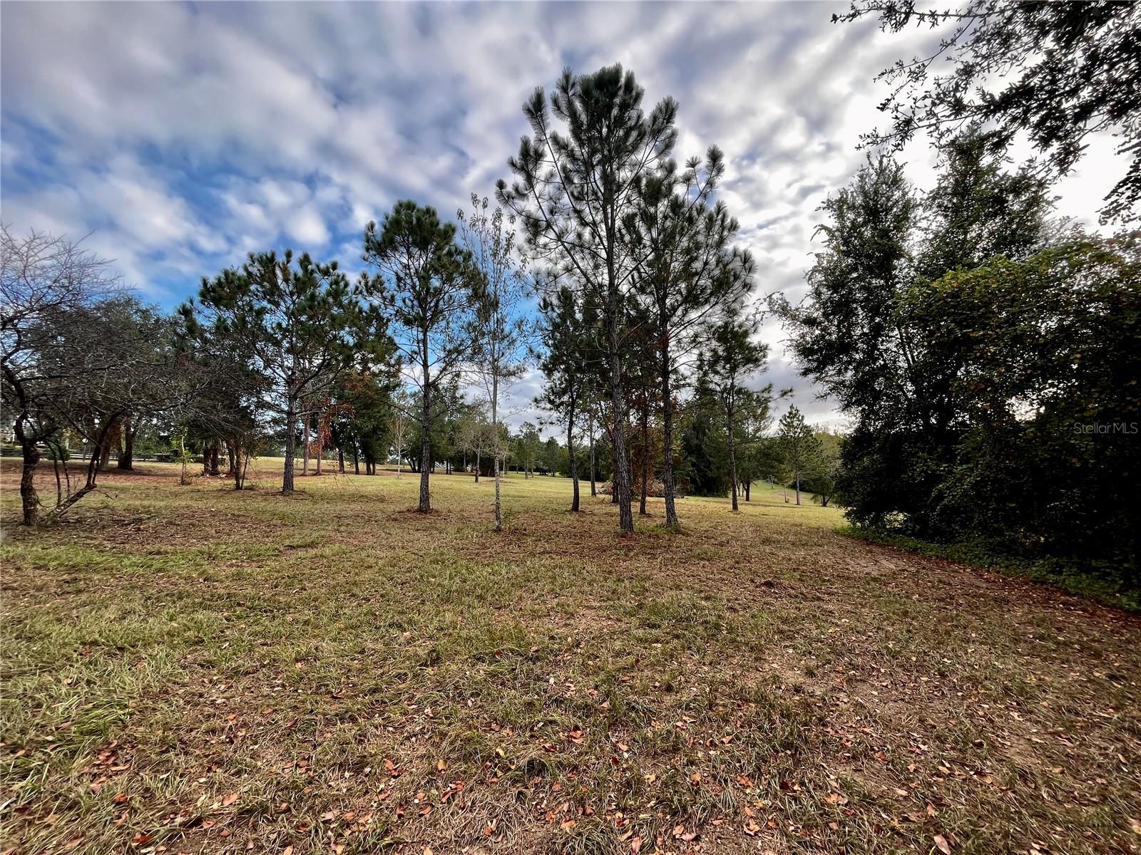 41513 SADDLE RIDGE LN, WEIRSDALE, FL, 32195