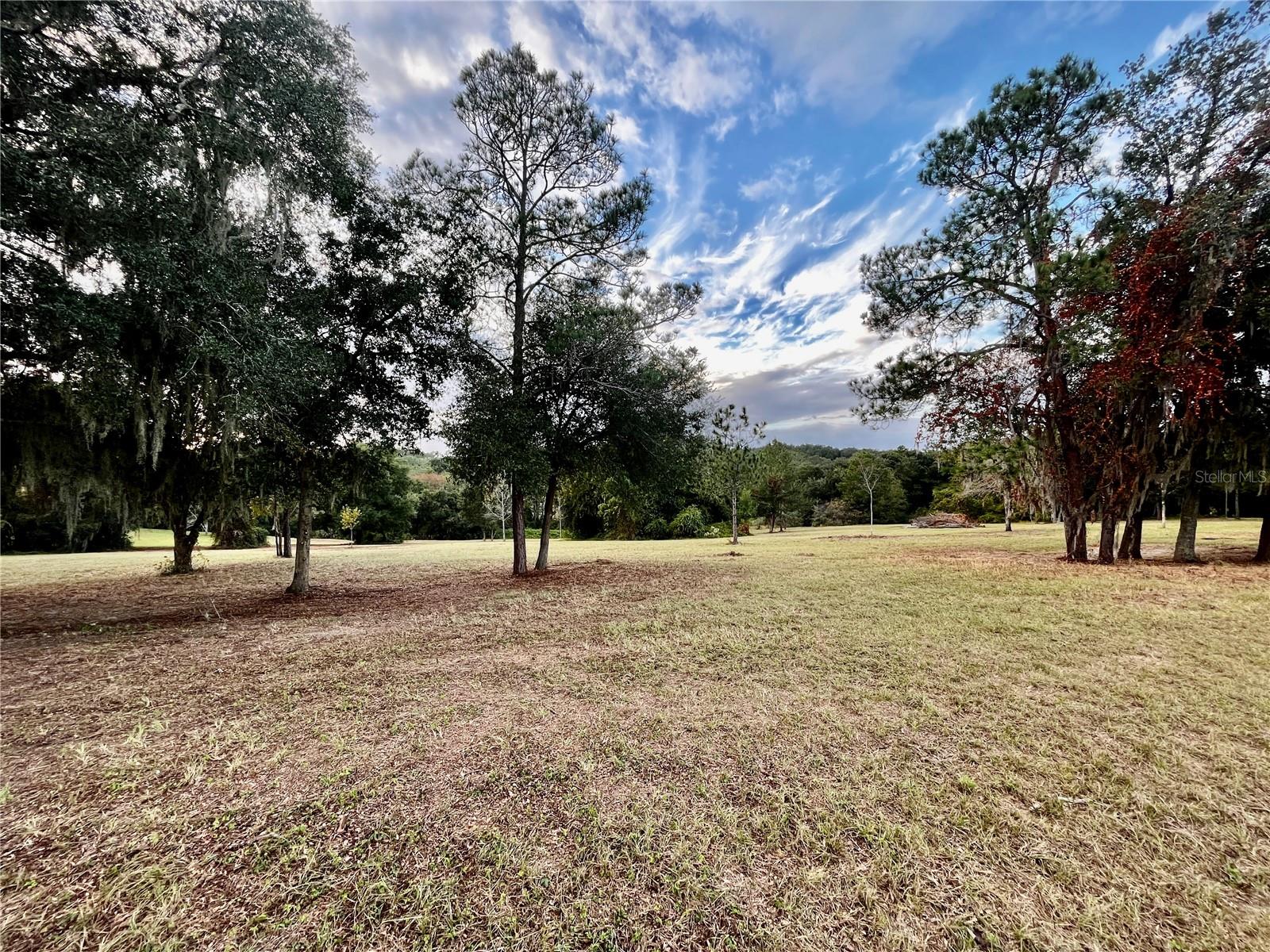 41513 SADDLE RIDGE LN, WEIRSDALE, FL, 32195