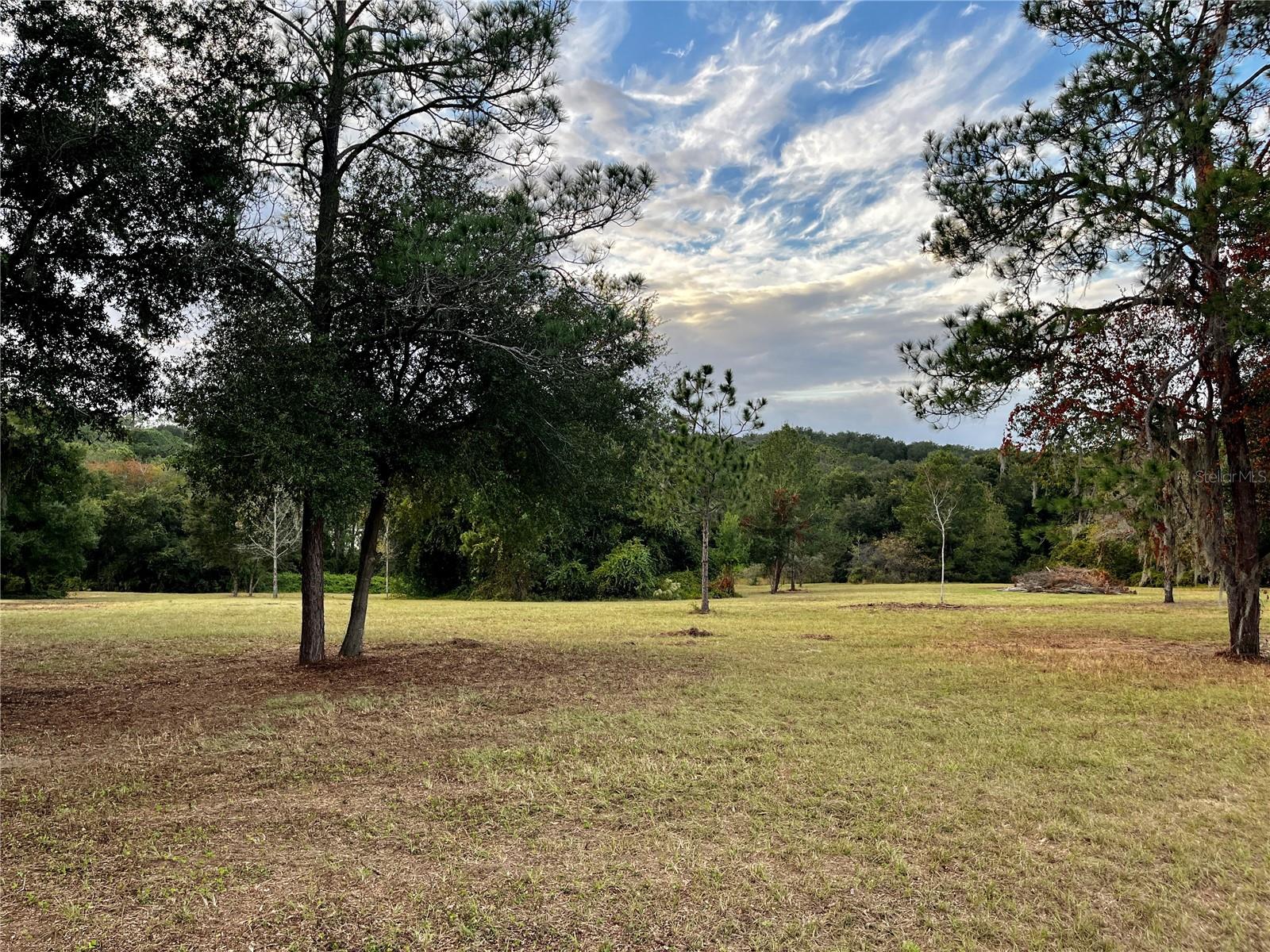 41513 SADDLE RIDGE LN, WEIRSDALE, FL, 32195