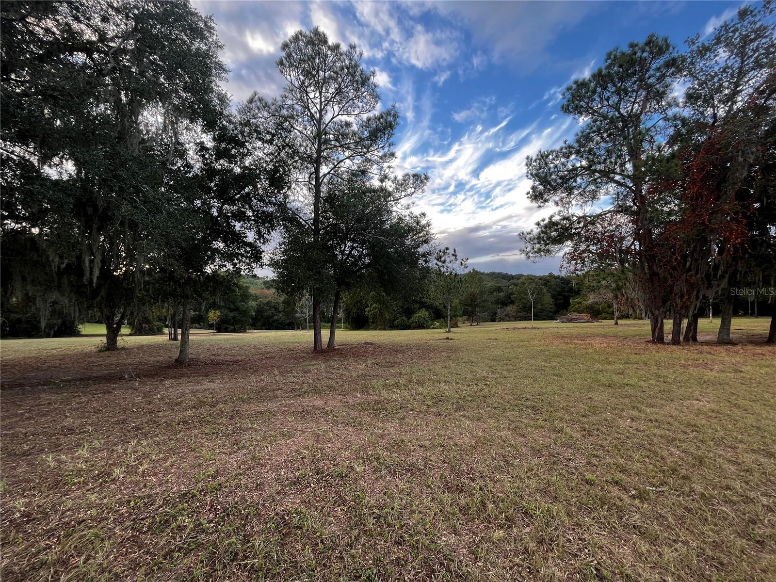 41513 SADDLE RIDGE LN, WEIRSDALE, FL, 32195
