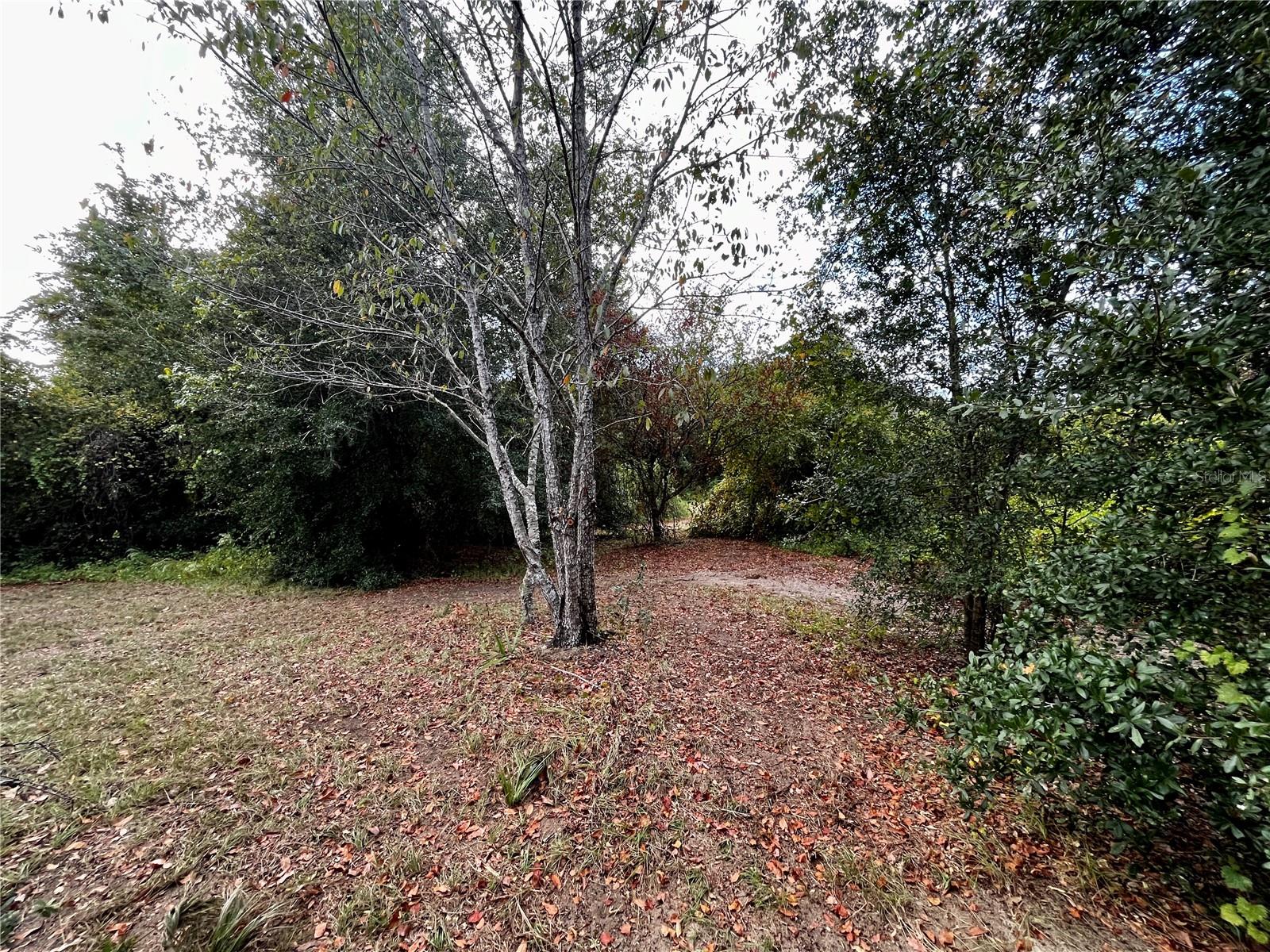 41513 SADDLE RIDGE LN, WEIRSDALE, FL, 32195