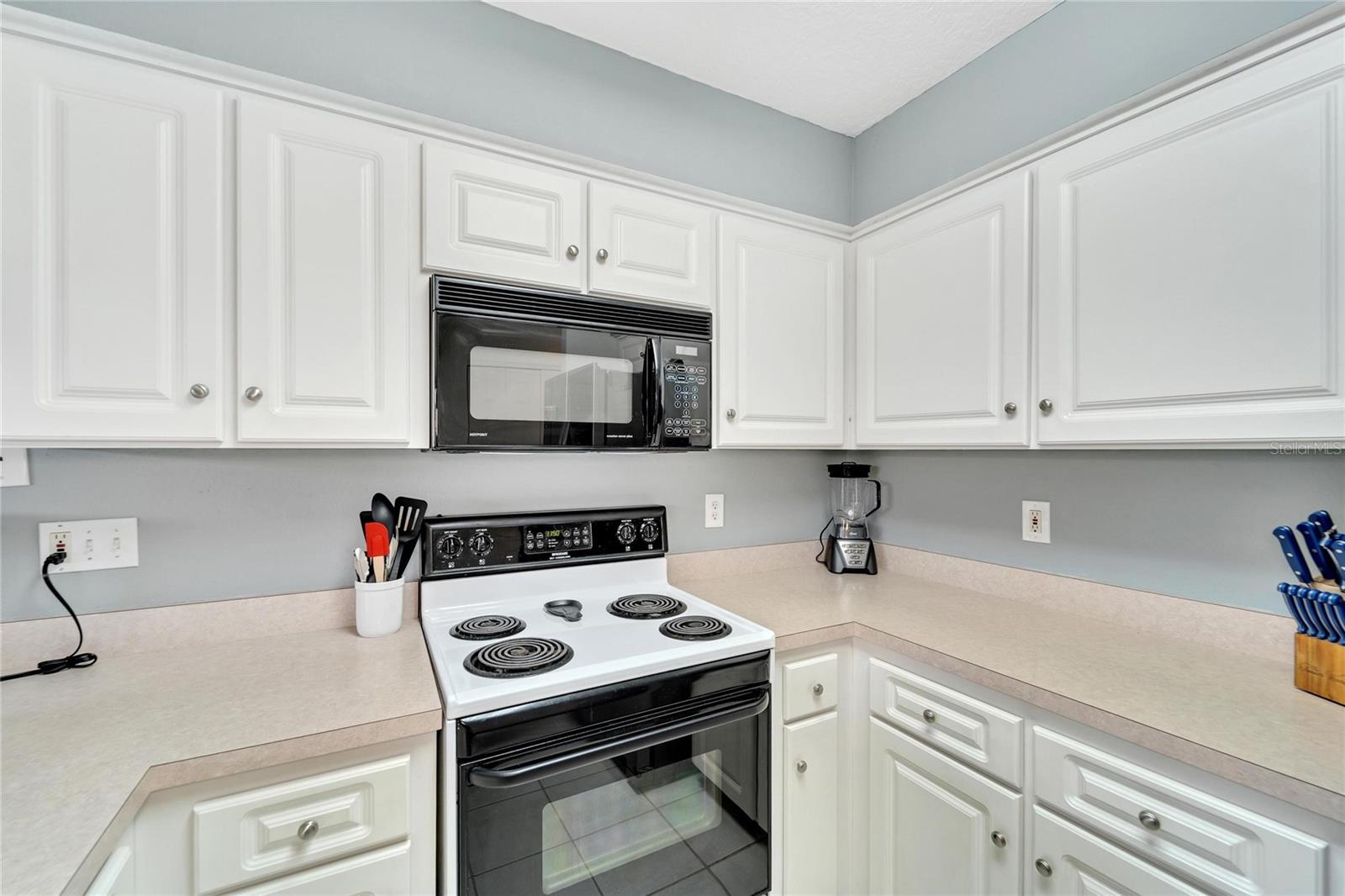 1013 APOLLO BEACH BLVD #202, APOLLO BEACH, FL, 33572