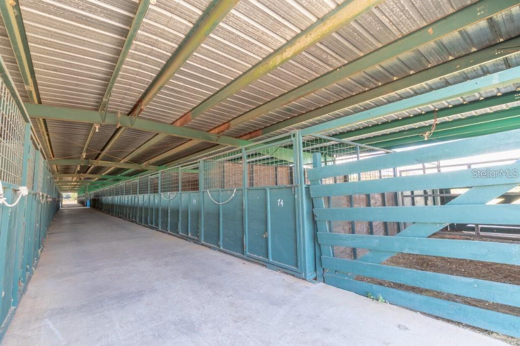 40812 GRAYS AIRPORT RD, LADY LAKE, FL, 32159