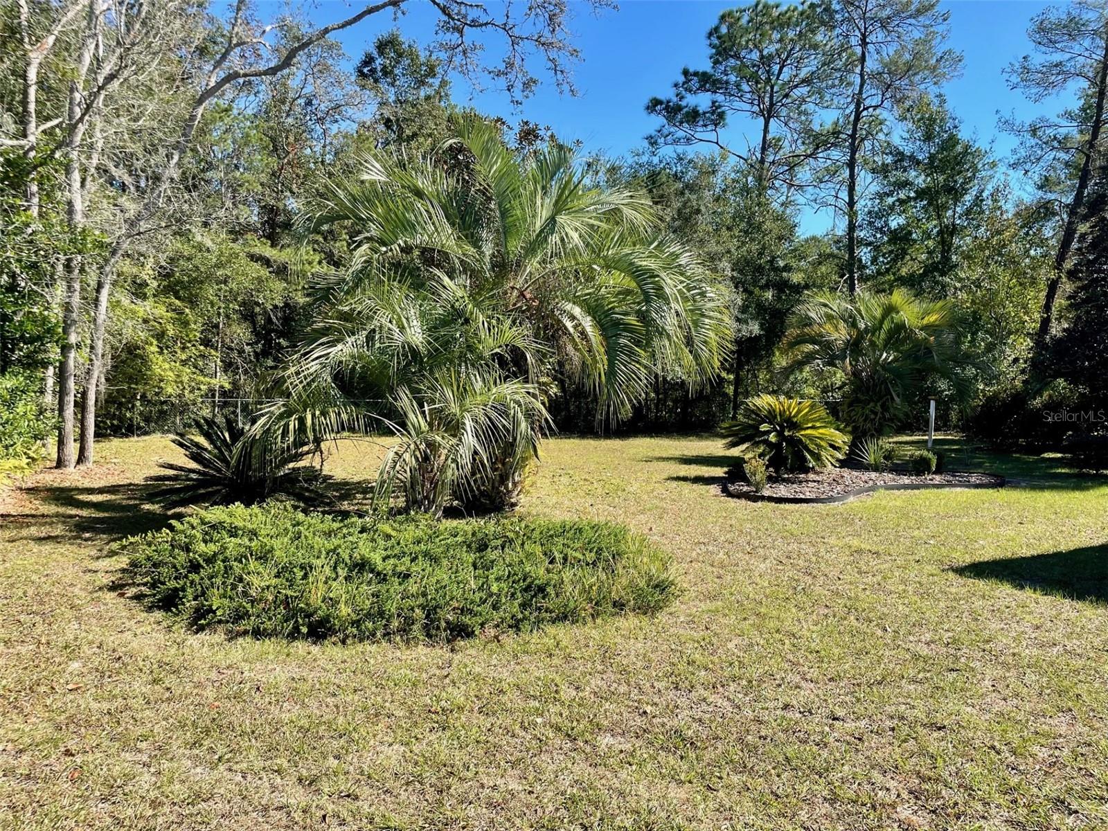 10787 SW 53RD CIR, OCALA, FL, 34476