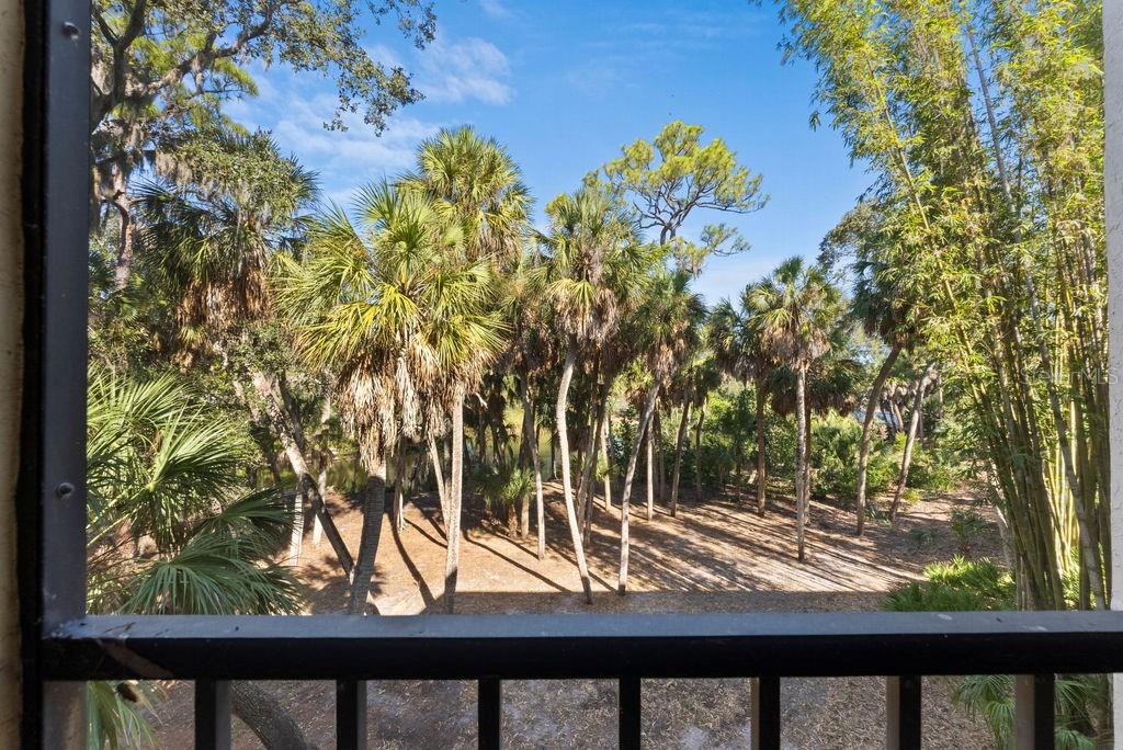 2754 ORCHID OAKS DR #204, SARASOTA, FL, 34239