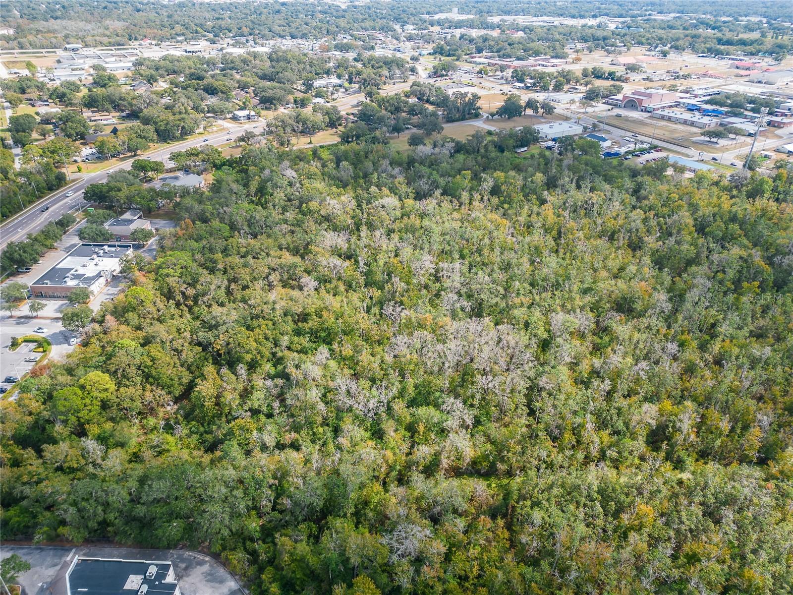 0 THONOTOSASSA RD, PLANT CITY, FL, 33563