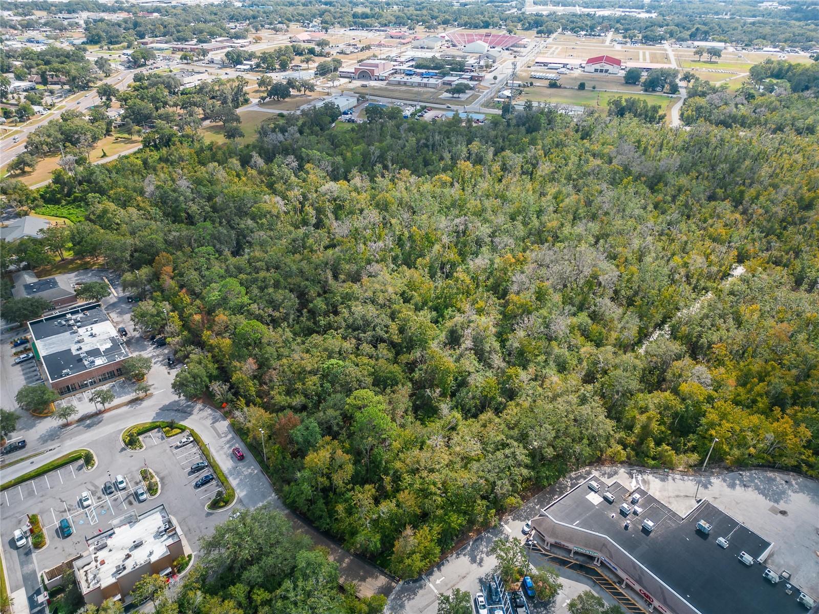 0 THONOTOSASSA RD, PLANT CITY, FL, 33563