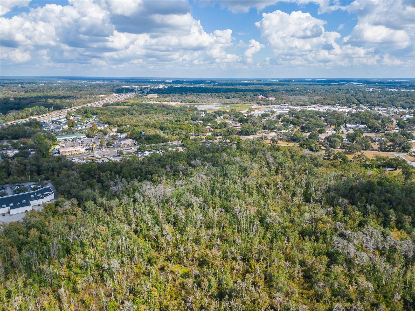 0 THONOTOSASSA RD, PLANT CITY, FL, 33563