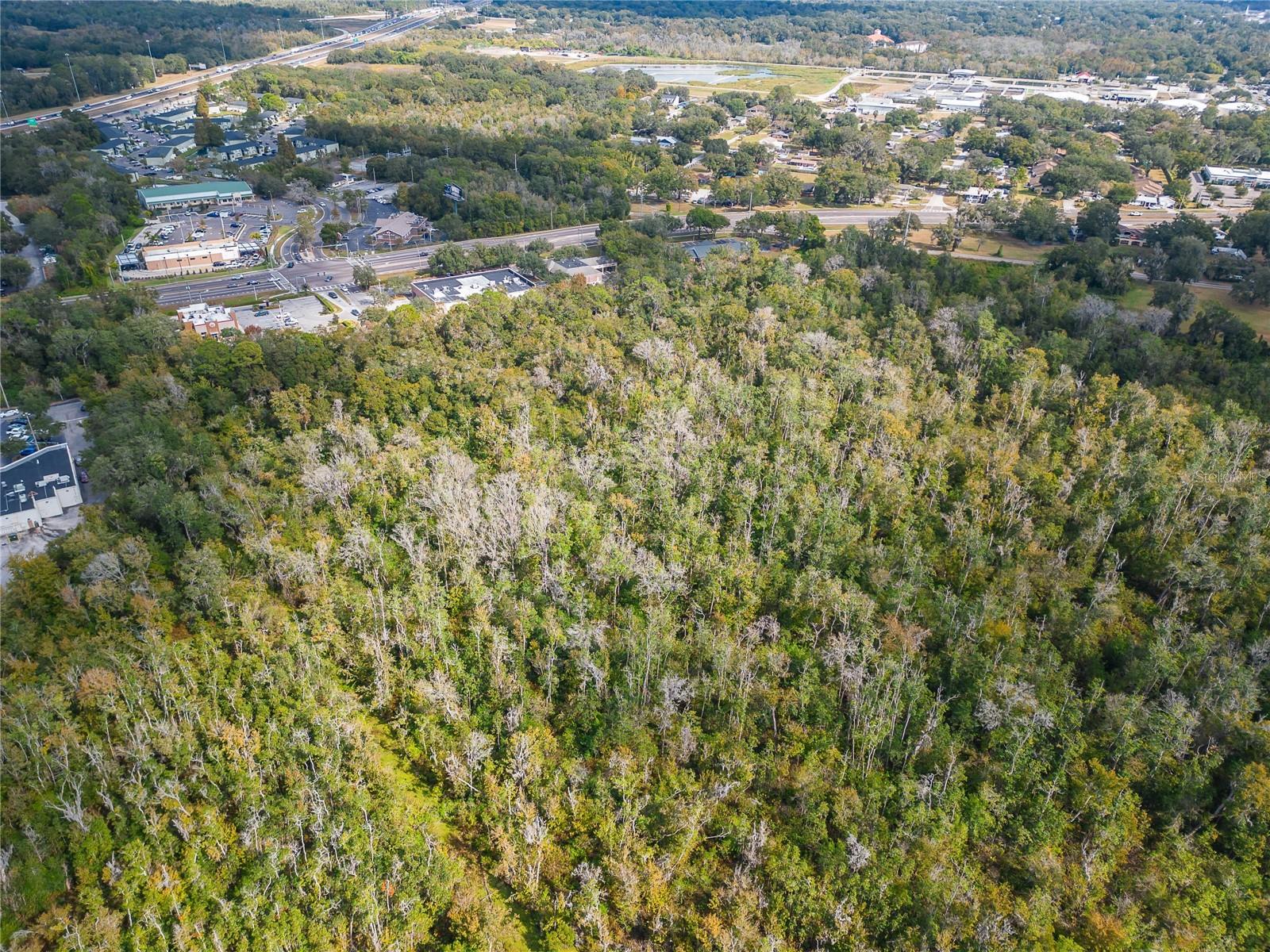 0 THONOTOSASSA RD, PLANT CITY, FL, 33563