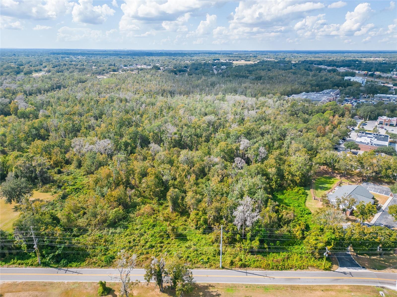 0 THONOTOSASSA RD, PLANT CITY, FL, 33563