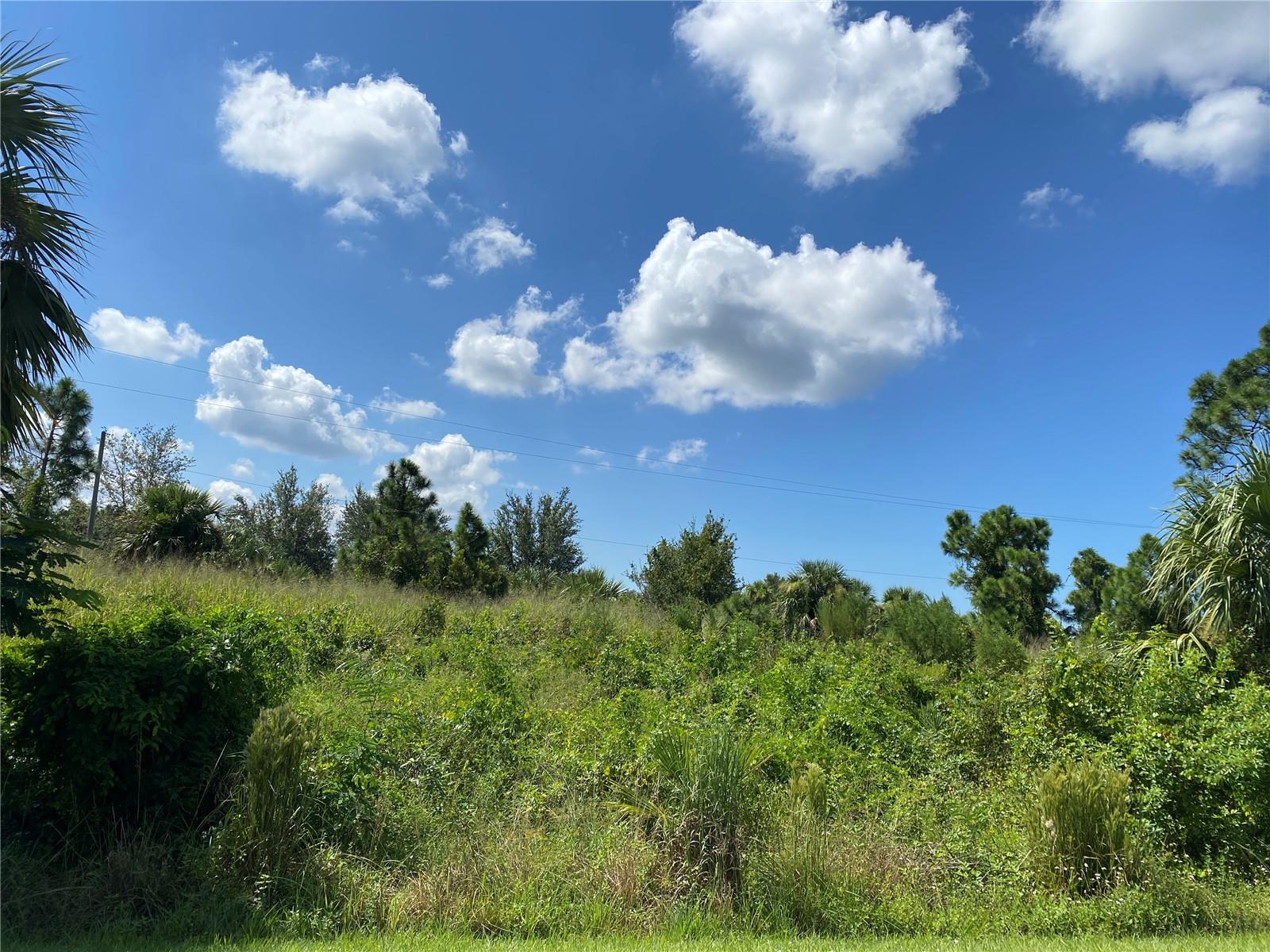 26265 SCHAM RD, PUNTA GORDA, FL, 33955
