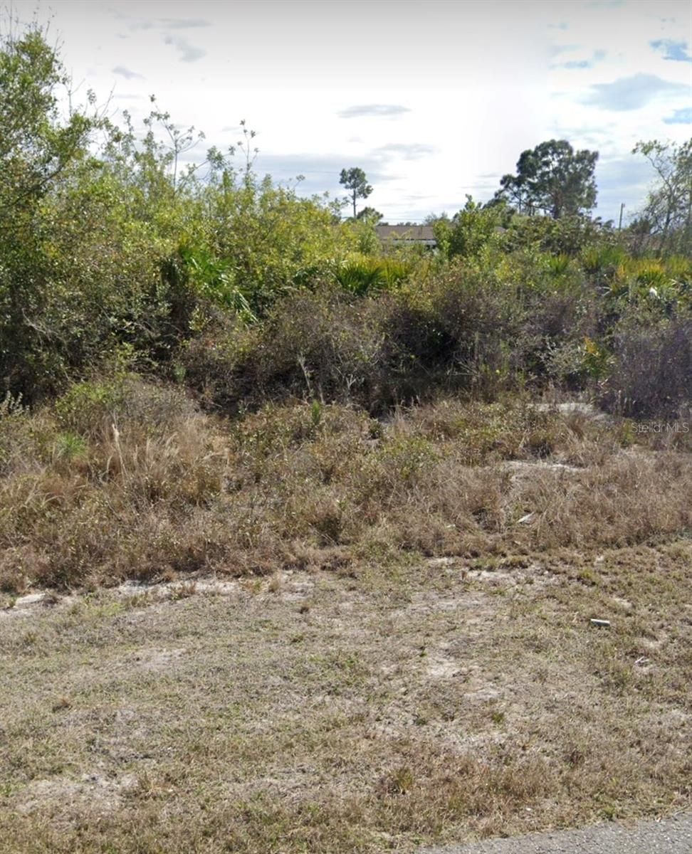 2509 33RD ST SW, LEHIGH ACRES, FL, 33976