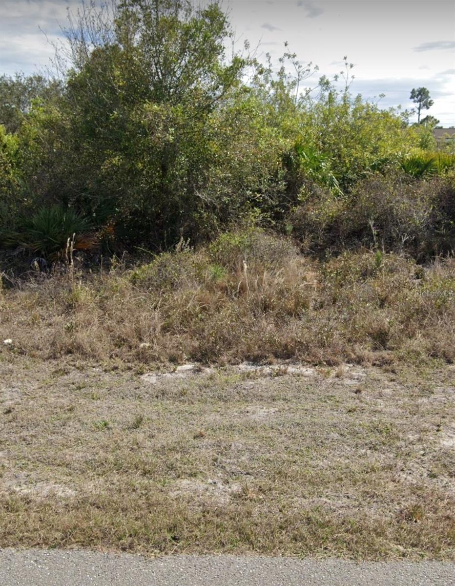 2507 33RD ST SW, LEHIGH ACRES, FL, 33976