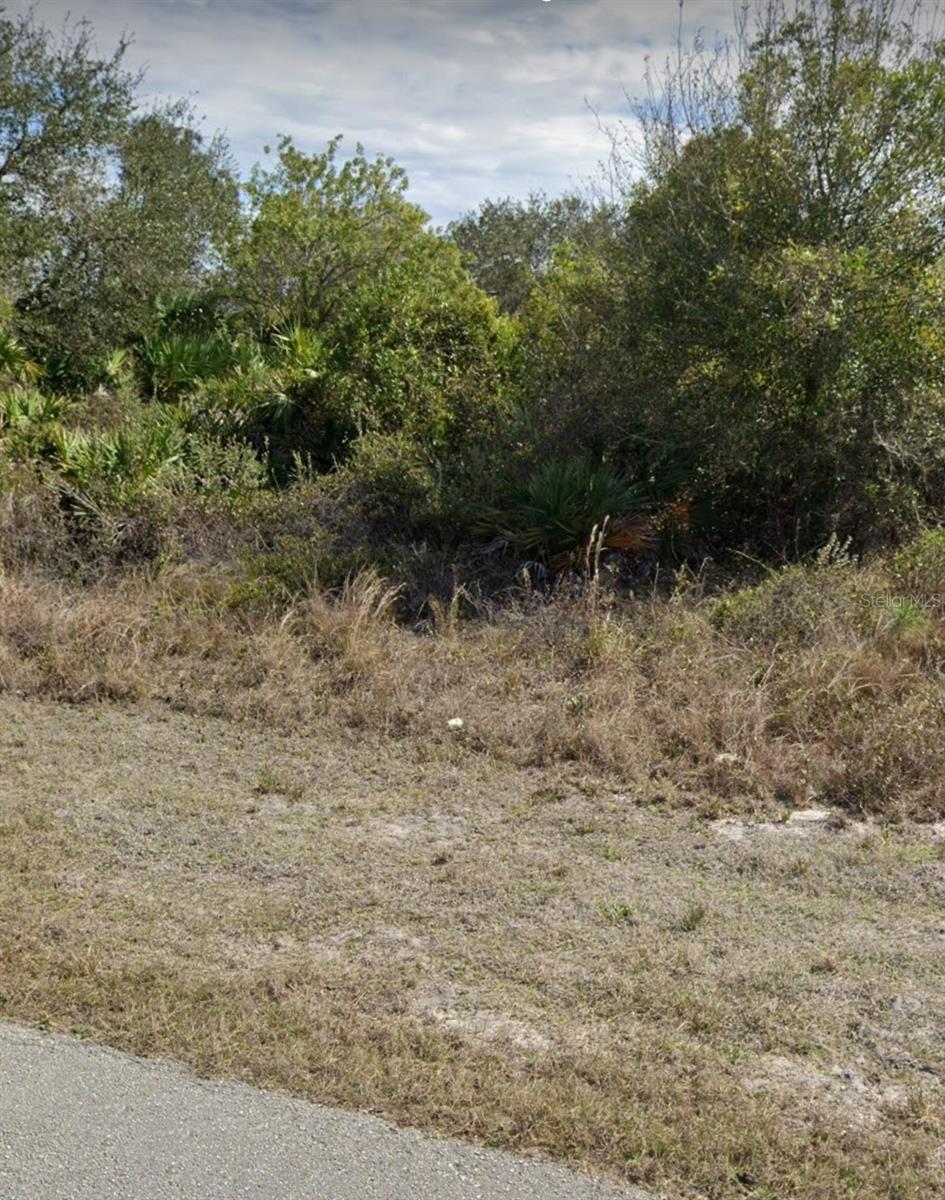 2507 33RD ST SW, LEHIGH ACRES, FL, 33976
