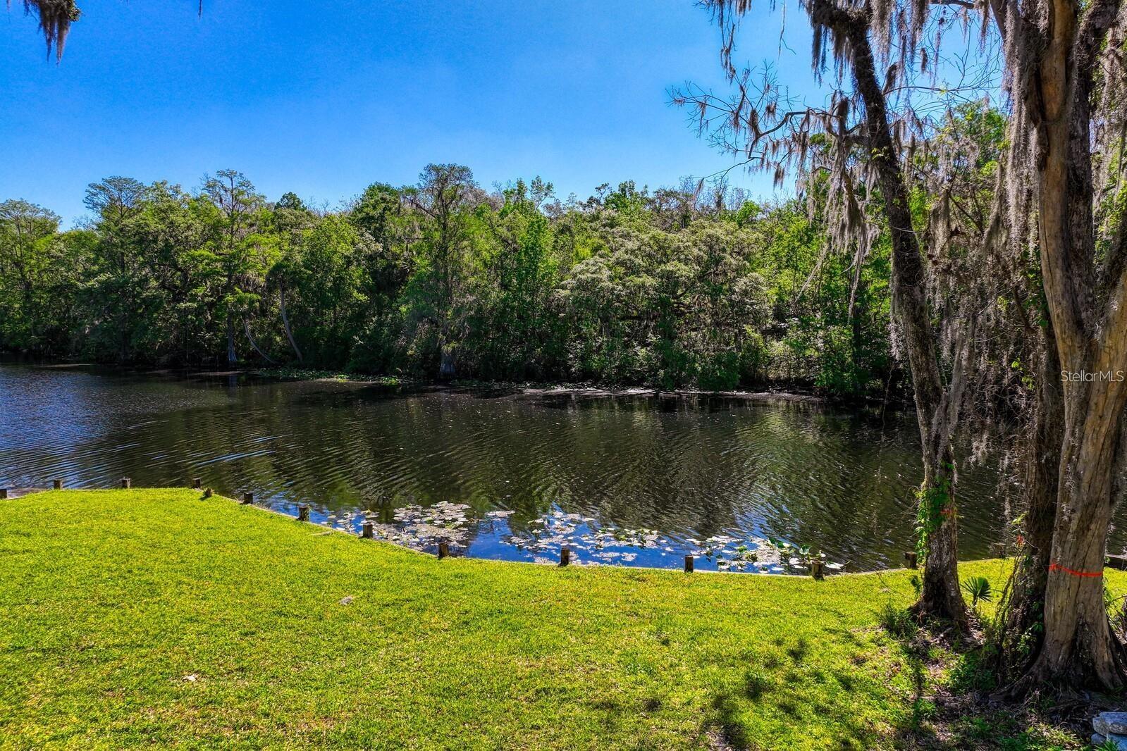 7810 TERRACE OAKS CT, TEMPLE TERRACE, FL, 33617