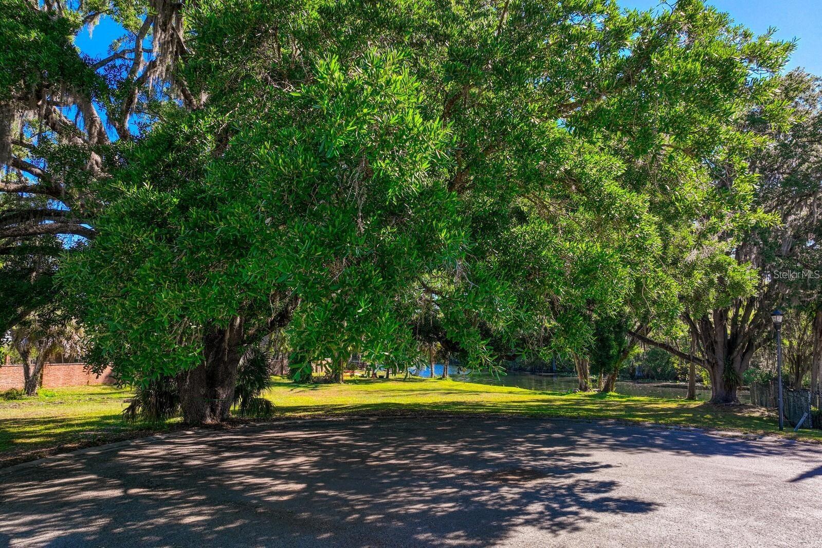 7810 TERRACE OAKS CT, TEMPLE TERRACE, FL, 33617