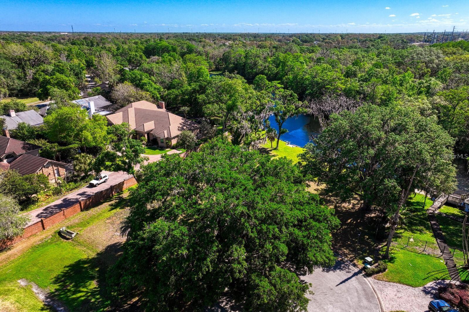 7810 TERRACE OAKS CT, TEMPLE TERRACE, FL, 33617