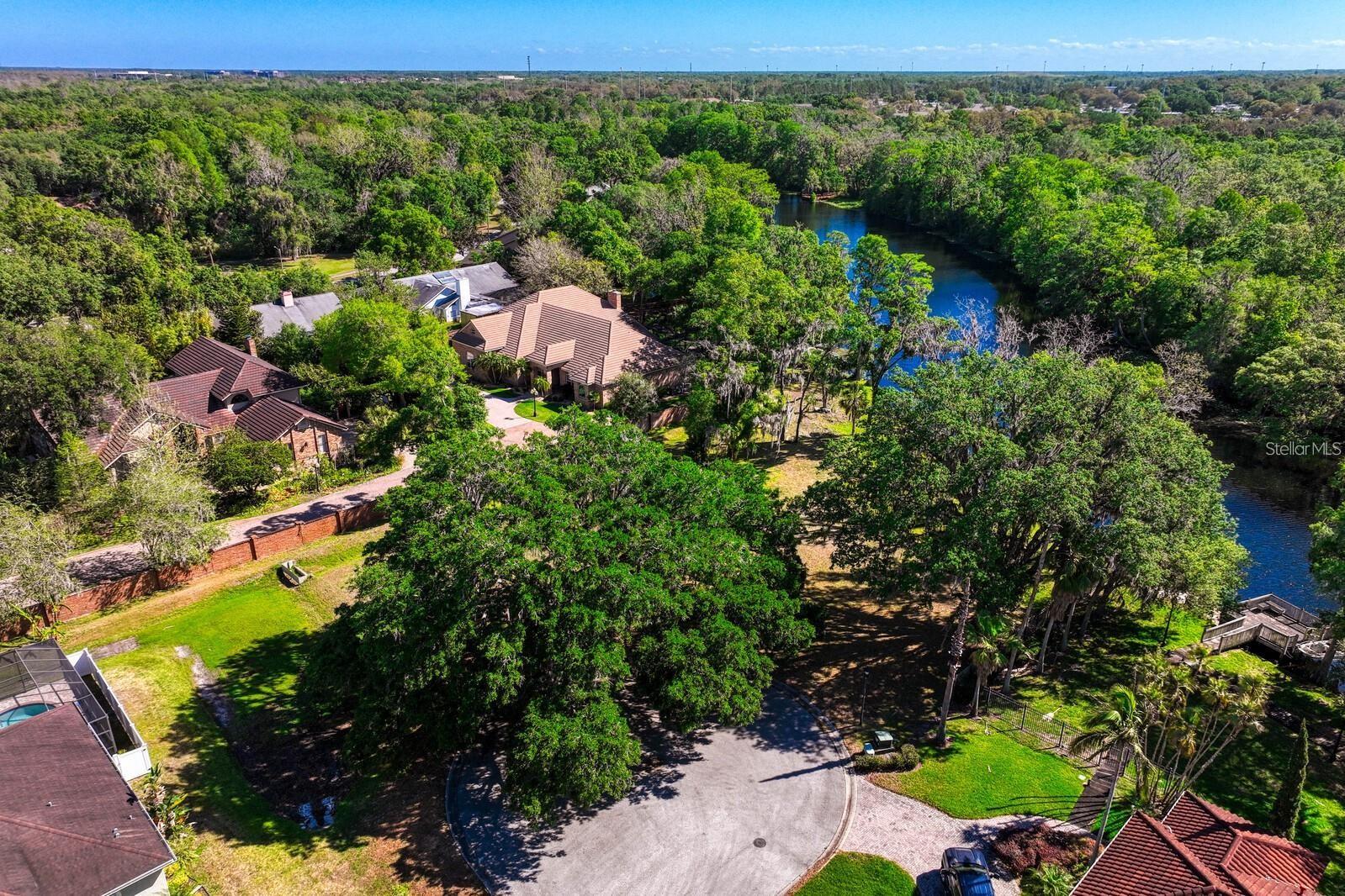 7810 TERRACE OAKS CT, TEMPLE TERRACE, FL, 33617