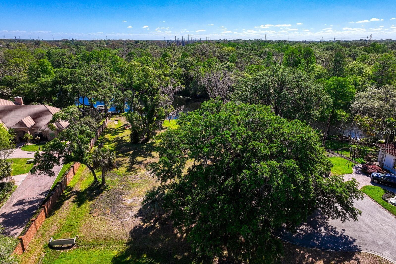 7810 TERRACE OAKS CT, TEMPLE TERRACE, FL, 33617