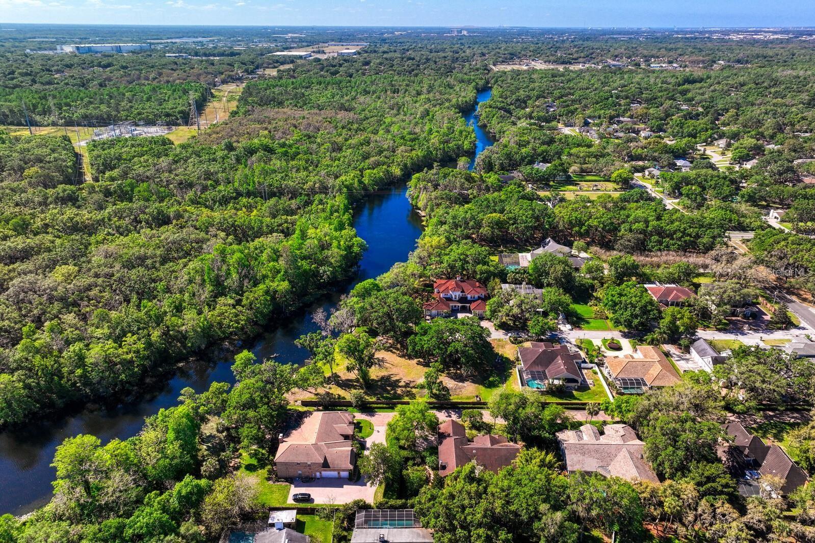 7810 TERRACE OAKS CT, TEMPLE TERRACE, FL, 33617