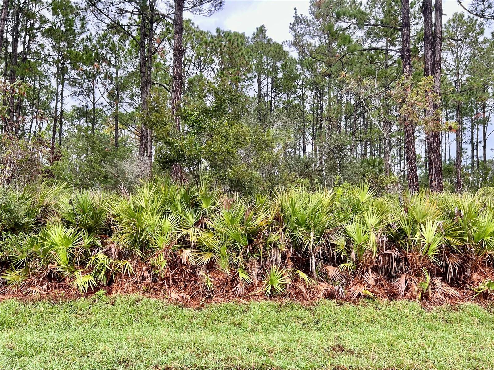 19 SEATHORN PATH, PALM COAST, FL, 32164