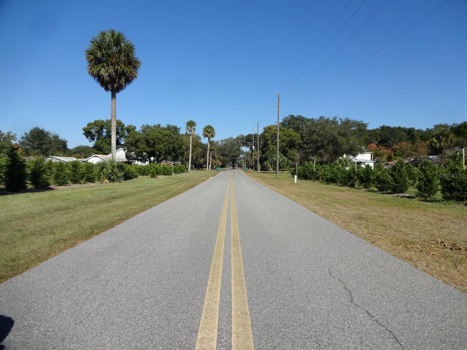 207 E 2ND AVE, PIERSON, FL, 32180