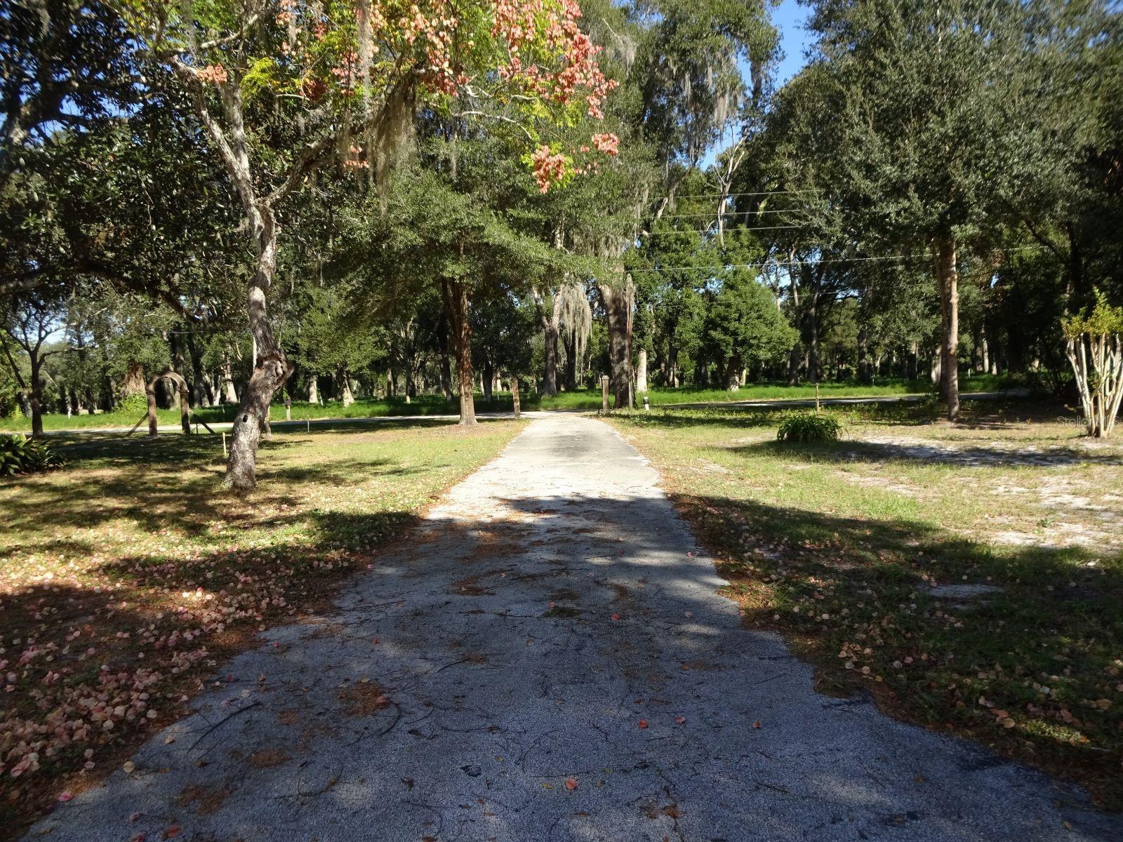 207 E 2ND AVE, PIERSON, FL, 32180