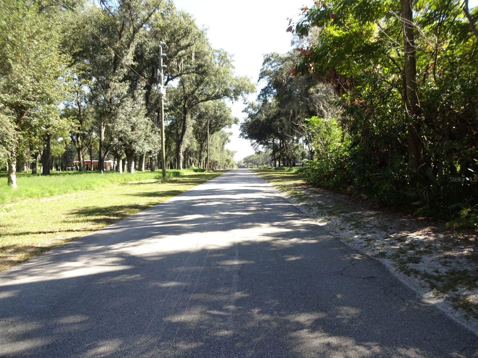 207 E 2ND AVE, PIERSON, FL, 32180