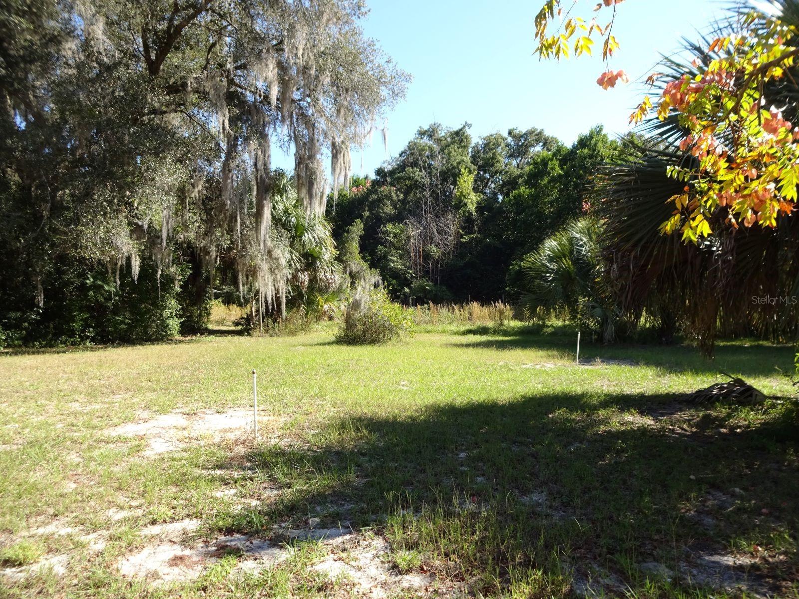 207 E 2ND AVE, PIERSON, FL, 32180