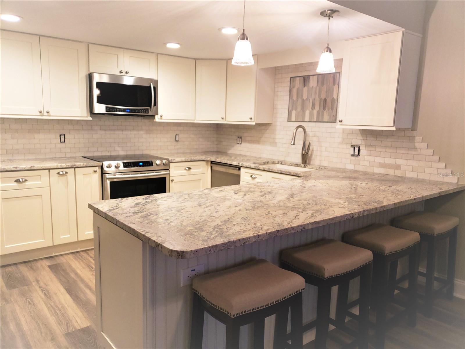 1460 GULF BLVD #1102, CLEARWATER, FL, 33767