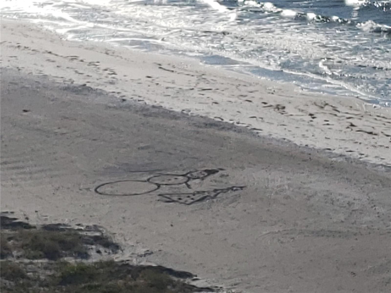 1460 GULF BLVD #1102, CLEARWATER, FL, 33767