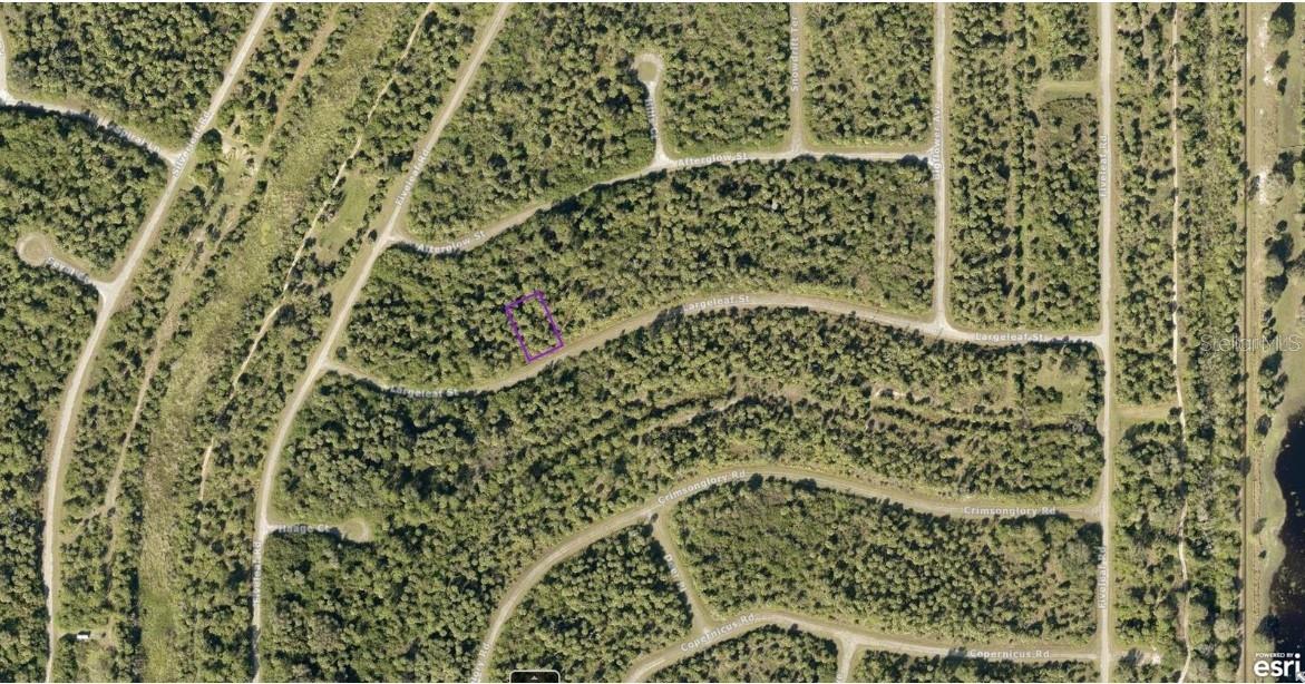 1127226126 LARGELEAF ST, NORTH PORT, FL, 34288