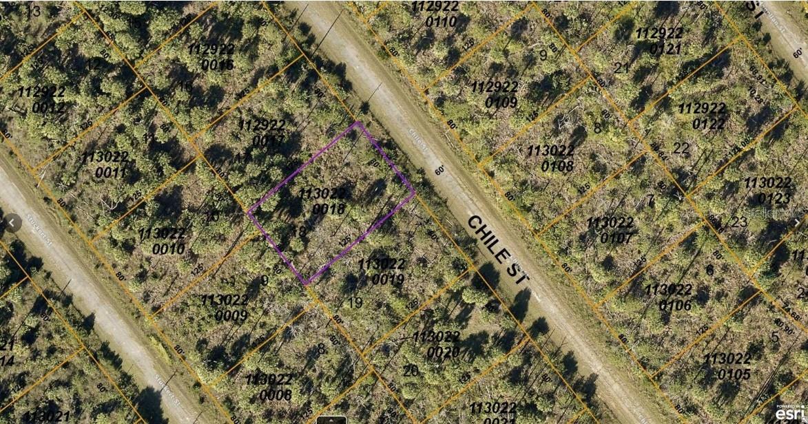 1130220018 CHILE ST, NORTH PORT, FL, 34288